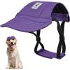 Pawaboo Cappello per Cane, Cappello Regolabile da Baseball per Animali Protezione Solare Sportiva all'Aperto con Fori Elastici per Le Orecchie, Vestiti per Cani Viaggio, XL, Viola