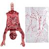 AOFOX Mezzo Corpo sanguinante di Halloween, Busto di cadavere Appeso a metà Corpo in Pelle di Lattice da 94 cm in Una Borsa per la casa stregata Festa di Halloween Decorazione Interna all'aperto
