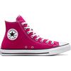 CONVERSE ALL STAR HI CANVAS DONNA