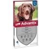 ELANCO ADVANTIX 25-40 KG 6 PIPETTE