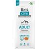BRIT CARE GRAIN FREE SALMONE ADULTO 12 KG Prezzo x 2 unità
