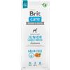 BRIT CARE GRAIN FREE SALMONE JUNIOR GRANDE 12KG Prezzo x 2 unità