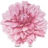 L'ERBOLARIO SB Srl Cartoncino Profumato Fiore di Dalia Fragranza Agrumata e Fiorita Multiuso - L\'Erbolario