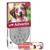 ELANCO ADVANTIX 10-25 KG 6 PIPETTE*acquisto minimo 3pz*