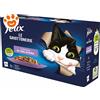 Purina Cat Felix Ghiottonerie Junior Deliziose in Gelatina Manzo Pollo Salmone Tonno - Confezione Da 12×85 Gr