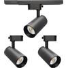 DEIFUA Faretti a LED a 1 fase, 30 W, luce bianca calda, 3000 K, orientabili e rotanti, per sistemi binari a 1 fase, set da 2, 2850 lm, 90 + CRI, senza guida, 8A3003000K024NA21P