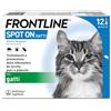 FRONTLINE Spot On, 12 Pipette, Gatto, Antiparassitario per Gatti e Gattini di Lunga Durata, Protegge da Zecche, Pulci e Pidocchi, Antipulci in Confezione da 12 Pipette da 0.5 ml