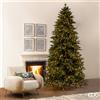 EDG Enzo de Gasperi Albero di Natale Pino Cristallo 300 cm Natural con 3800 Mini Led