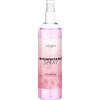Satisfyer Women Disinfectant Spray 300ml