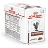 Royal Canin Gastrointestinal Umido Gatto 12x85g