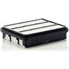 Mann Filter MANN-FILTER, C 2438 Filtro aria