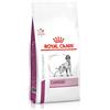 Royal Canin V-Diet Cardiac Cane 14KG