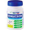 VOLCHEM SOMATRON 300 COMPRESSE