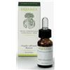 Erbamea Olio Essenziale Tea Tree Oil 10ml
