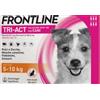 Frontline tri-act soluzione spot-on per cani di 5-10 kg