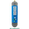 SWAN Bombola Co2 Usa e Getta 600 gr Swan