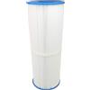 SWAN Filtro Swan per piscina compatibile Pleatco prb25in