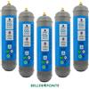 Swan Scatola 5 bombole Co2 Usa e Getta 600 gr Swan