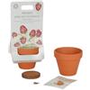 Little Dutch Vasetto Con Semi Di Fragola Little Dutch