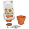 Little Dutch Vasetto Con Semi Di Girasole Little Dutch