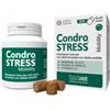 INNOVET ITALIA SRL Condrostress Mobility 60 Soft Chews