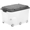 Rotho Roller 6 Scatola di Stoccaggio con Coperchio e Ruote, Plastica (PP) senza BPA, Trasparente/Grigio (Antracite), 57 L, 59.5 x 40.0 x 37.0 cm