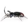 Lladrò LLADRO' Figura Scarabeo Rinoceronte 12x26cm Porcellana