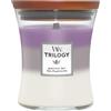 Woodwick Amethyst Sky Media yst Sky Candela Profumata Vasetto