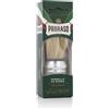 Proraso Rasierpinsel