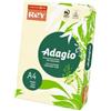 International Paper Carta colorata A4 Rey Adagio Avorio - tinte forti - risma 500 fogli
