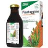SALUS HAUS & Co KG PIANTAGGINE 250 ML SALUS HAUS