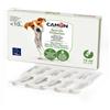CAMON | Spot-On Protection Cane (0-10kg), 5 Fiale da 3ml con Olio di Neem, Naturale e Efficace