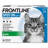 Antica Farmacia Orlandi Frontline Spot On Gatti X3 Pipette, Antiparassitario Per Gatti E Gattini, Contro Zecche, Pulci E Pidocchi