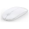 Anmck Mouse wireless silenzioso USB senza fili, sottile, ricaricabile, 10 m di distanza, 1600 DPI, 3 livelli di regolazione, silenzioso, per casa e ufficio per Windows, Mac OS e Linux