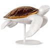 Lladrò LLADRO' Scultura Tartaruga Marina II Bianco Rame 20x24cm Porcellana