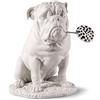 Lladrò LLADRO' Scultura Bulldog con Lecca Lecca Re Deco 33x33cm Porcellana
