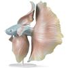 Lladrò LLADRO' Scultura Pesce Betta Destra 35x31cm Porcellana