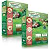 EUROPA GREEN Semi prato resistente- Tappeto erboso professionale - Germinazione ultra veloce e densa (14 giorni) - resistente alla siccità e al freddo (2 scatole - 100M²) Gazon Express Professionnel