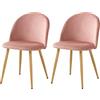JZGORC Set di 2 Sedie da Pranzo in Morbido Velluto - Cucina Con Gambe in Metallo, Moderna Con Imbottitura Protettiva Regolabile - Rosa