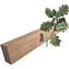 ARMLAZER Pezzi di Quercia Piallati su Quattro Lati, Pezzo Grezzo di Rovere per la Creativita, Materiale per Una Fresatrice CNC, Legno per Realizzare Manici di Coltelli (2 pezzi 30x50x300)