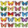 Bofanze 40 Pezzi Farfalle Decorative con Clip 12CM 3D Farfalle Colorate Farfalles Artificiali Farfalles Decorative GrandiFarfalle Segnaposto per Matrimoni, Decorazioni per Feste