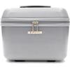 R Roncato Trolley FIBRA, espandibile (ARGENTO, BEAUTY CASE)