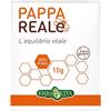 ERBA VITA GROUP SpA PAPPA REALE FRESCA 10G