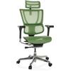 HJH Office sedia ergonomica per ufficio ERGOHUMAN SLIM GEN2 design originale, utilizzo 24 ore su 24, sedia girevole con supporto lombare flessibile, mesh verde