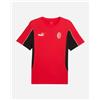 Puma Milan Ftblarchive 24-25 M - Abbigliamento Calcio Ufficiale - Uomo - Color Mix