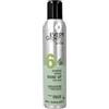 DIKSON Every Green Spray brillante 300 ml