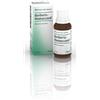 Guna Heel Berberis Homaccord Gocce 30 ml - Guna - 909468199