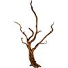Natunae - Legno Red Spider King Wood, Radice Decorativa per Acquario, Terrario, Paludario S 20-30 cm