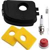 FanPaYY Coperchio del filtro dell'aria 595660, 799579 Adatto a Briggs and Stratton 300e 450e 550e con filtro dell'aria in schiuma, candela, bulbo di adescamento 594281, molla