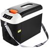 Pink Beryl Refrigeratore termoelettrico portatile calore/frigorifero freddo 12L frigorifero portatile per campeggiare auto da campeggio Beach Mountain Travel Connections 12V/24V&220V (colore: nero)